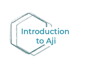 Introduction to Aji Course | Fall 2026 for Groups